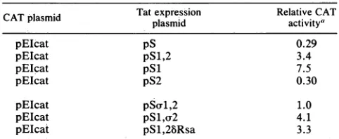 FIG.1.endto(AUG)thetheducednomicinsertedsite-directed nucleotide Structuresof expressionplasmidscontaining subge- fragments from the central region of the EIAV genome
