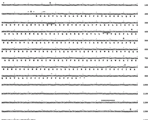 FIG. 3.genomicshownstop Nucleotide sequence and deduced translation of EIAV cDNA clone 492