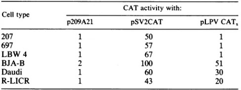 TABLE 1. LPV enhancer activity during B-lymphocytedifferentiationa