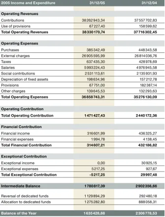 Table . Statutory Accounts: 2005 Income and Expenditure Statement (in €)