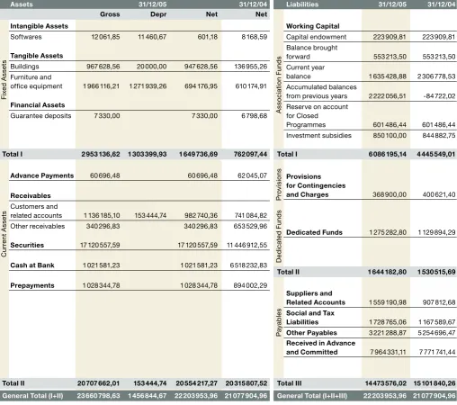 Table . Statutory Accounts: 2005 Balance Sheet (in €)