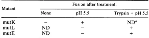 TABLE 1. Fusion phenotypes of p62 cleavage site mutants