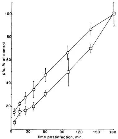 FIG.3.averageviruswild-typewashedKOS Adsorption kinetics of the gC-negative mutant gC-39 and parent KOS 321