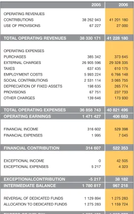 Table 4: Statutory Income and Expenditure Statement (in €)