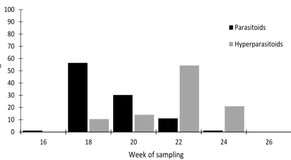 Figure 1. Bi-weekly seasonality of M. persicae parasitoids and hyperparasitoids from sentinel plants