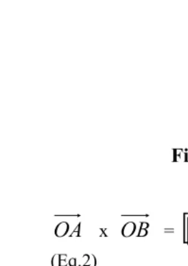 Figure 7 and Equation 2 to 5). The purpose of computing those vectors is to find out the vector scale [|NX|, |NY|, |NZ|]