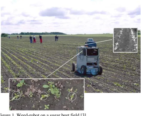 Figure 1. Weed-robot on a sugar beet field [3].  