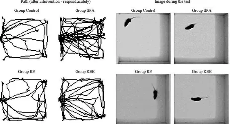 Figure S8. Behavior of the C57BL/6 mouse trajectory after 5 sessions of resistive exercise with electrical  stimulation (REE), resistance exercise without electrical stimulator (ER) and spontaneous physical activity (SPA) and control group