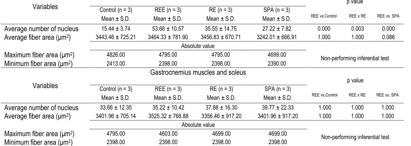 Table 6. Analysis of the cross-sectional area dimensions of the muscle fibers of C57BL / 6 mice of resistive exercise with electrostimulation (REE), resistance exercise without electrical stimulator (RE) and spontaneous physical activity (SPA) and control 