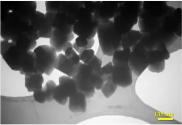 Figure 3. TEM image of the as-synthesized Fe-doped CeO2 NPs