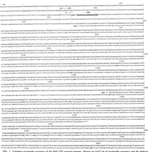 FIG. 2.aminoanalysisthe(AATAAA)inLaboratories,themethod analogy Complete nucleotide sequence of the HIV-2/ST proviral genome