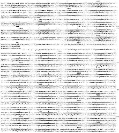 FIG. 2-Continued.