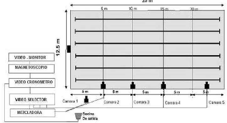 Table 1. Group distribution according to age and gender and anthropometric data 