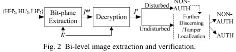 Fig. 2  Bi-level image extraction and verification. 