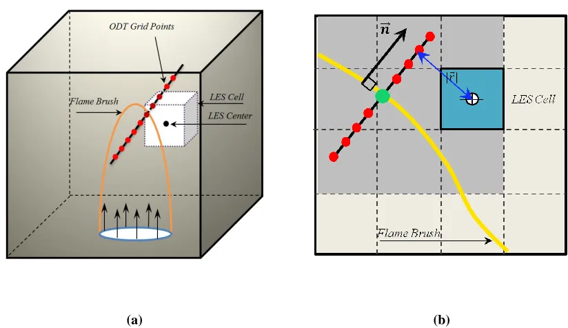 Figure 5.2 (a) The LES cell and ODT Element attached to the flame surface in 3D (b) The relative positions of the ODT Grid Point and LES cell in influenced region 