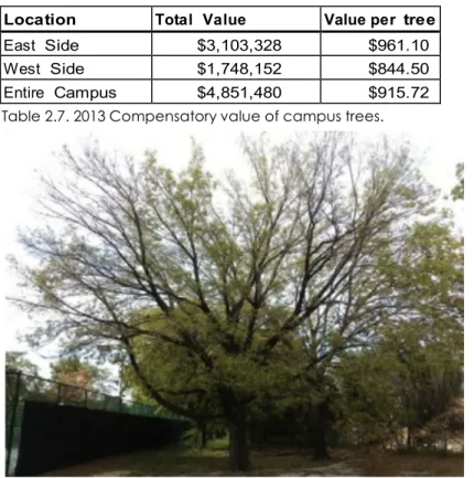 Table 2.7. 2013 Compensatory value of campus trees.  	  