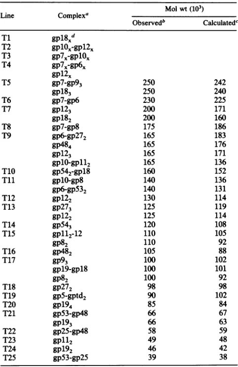 TABLE 1. Complexes formed by cross-linking 23- x 19-baseplates with EGS