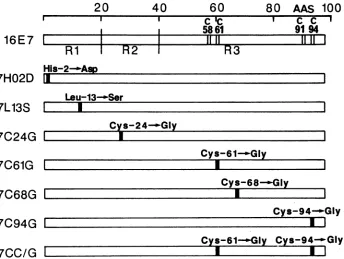 FIG. 4.asthe given Schematic representation of AA sequences of HPV 16 E7 single-AA substitution mutants