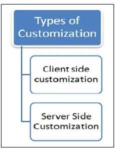 Fig 1: Teamcenter Customization Types 