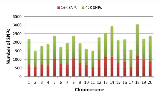 Figure 3-2: Distribution of 42K and 16K SNP sets per chromosome. The direct output from  TASSEL 3.0 pipeline was a set of 42K SNPs (green bars) with minor allele frequency (MAF) of 0.25+ 