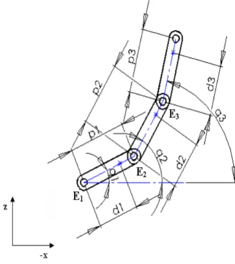 Fig. 8.  Inclination of phalanges 