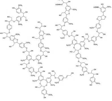 Figure 1.2: Proposed lignin structure example. 