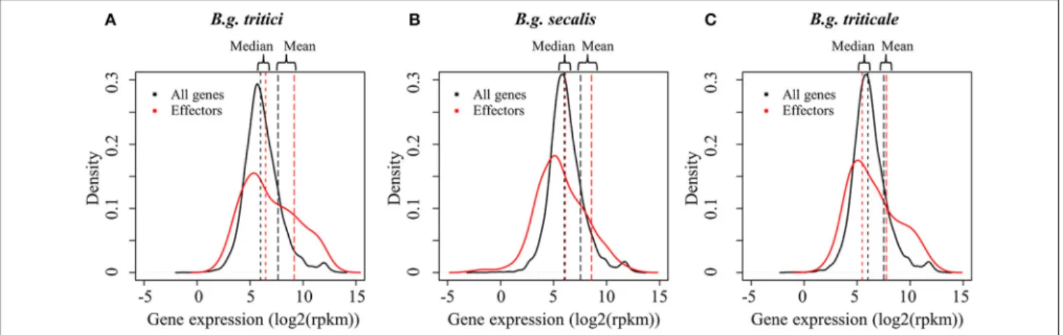 FIGURE 3 | Distribution of gene expression levels in wheat, rye, and triticale mildews