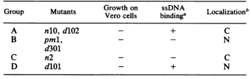 TABLE 4. Phenotypic classes of ICP8 mutant viruses