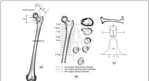 Figure 3 Three-dimensional (3D) morphological analyses of the femur (a) periosteal (b) endosteal (c) interquartile range (IQR)descriptive analysis.