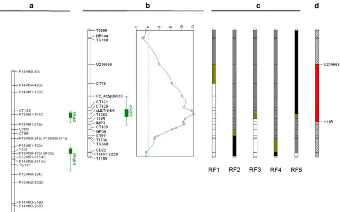 Fig. 1 The map positions of Ol-qtl2 and Ol-qtl3 shown on linkage groups of the short arm of tomato chromosome 12, which are constructed by using an F 2 and BC 2 S 1 population, respectively, derived from a cross between Solanum  lycopersi-cum cv
