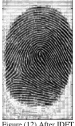Figure (9) plot of original image histogram,  after histogram equalization 