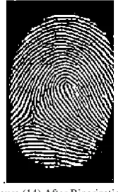Figure (15) fingerprint after standard deviation  (left 32*32 pixels, middle 16*16, and 8*8 right) 