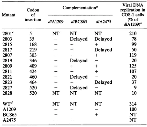 TABLE 1. Mutant DNA replication in COS-1 cells andcomplementation analysis