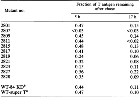 TABLE 2. Stabilities of large T antigens encoded by SV40insertion mutantsa