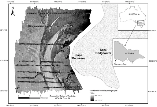 Fig. 1. Location map of Discovery Bay and backscatter imagery of study area together with the location of underwater georeferenced video data (intersected with angular responseposition) represented by white circles.