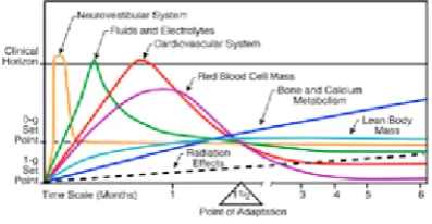 Figure 1: Changes of various body systems during adaptation to microgravity (Credit: NASA)