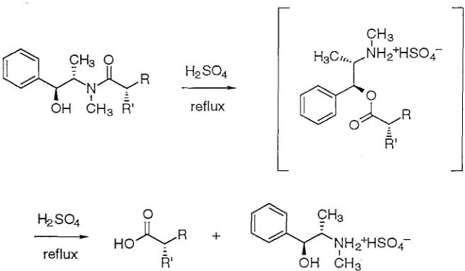 Figure 6. Sulfuric acid-promoted hydrolysis of pseudoephedrine amides. 
