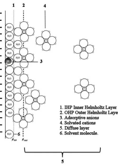 Figure 1.1  Model of electrical double layer at the interfacial region at the electrode surface for potentials negative to the potential of zero charge [1]