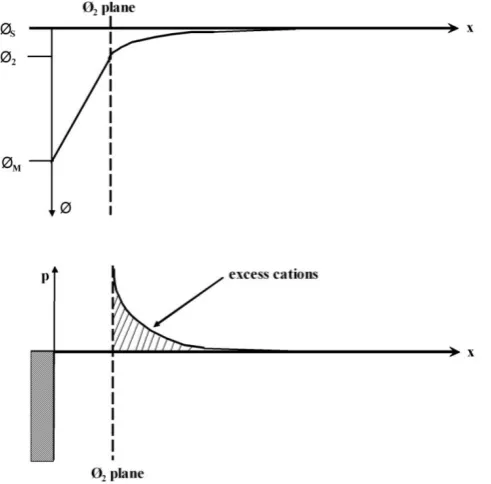 Figure 1.3  Qualitative representation of the charge, ρ, and potential, Ø, as a function of distance from the surface resulting from the model of Figure 1.1 [1]