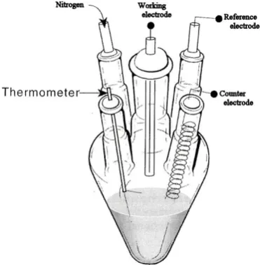 Figure 1.5   Standard electrochemical cell consisting of three electrodes, reference electrode, working electrode, and counter electrode