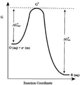 Figure 1.6  Free energy plot for a one-electron reduction of O(aq). 