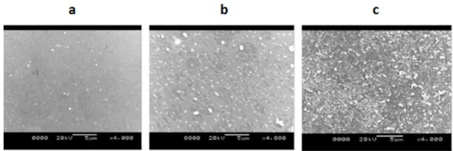 Figure 1 - Representative SEM images of the a) mPE, b) mPE-2.5 J/cm2 and c) mPE-5 J/cm2 treated samples.