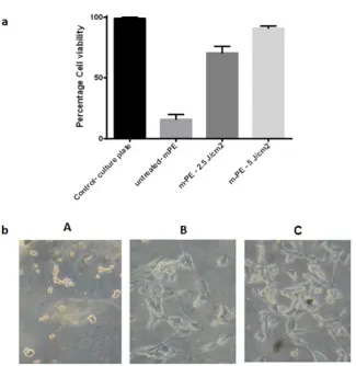 Figure 4 - (a) Cell viability of mPE, mPE-2.5 J/cm2 and mPE-5 J/cm2 treated samples after 24 h using MTT assay (b) Photomicrograph of the mPE, mPE-2.5 J/cm2 and mPE-5 J/cm2 treated samples seeded with 3T3 fibroblast cells after 24 h