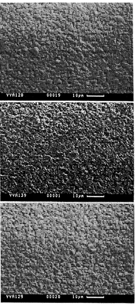 Figure 2.5 SEM micrographs of films prepared using solutions of different A1 content. Codes defined in Table 2.4