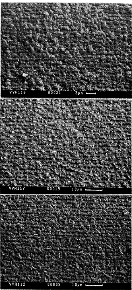 Figure 2.6 SEM micrographs showing the evolution of a film prepared in the presence of Al