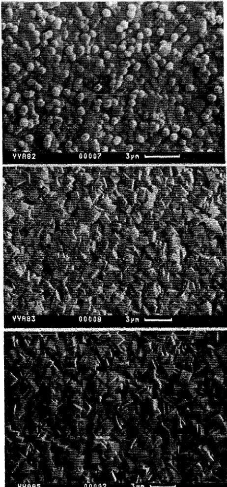 Figure 2.7 SEM micrographs showing the evolution of a film prepared in the absence of Al