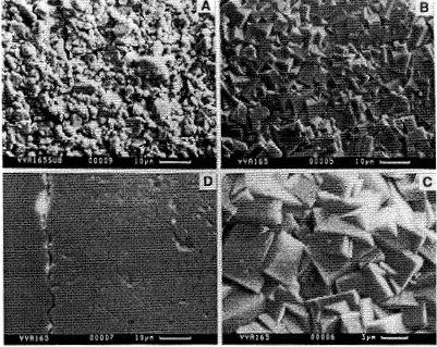 Figure 2.8 SEM micrographs of membrane M1 before synthesis (A) and after synthesis (B,C) at two different magnifications