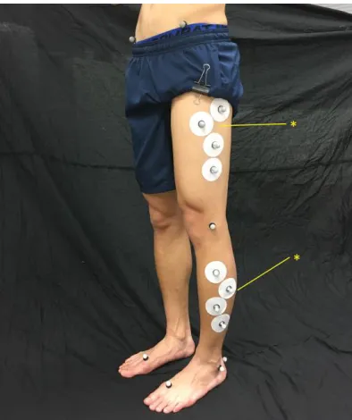 Figure 1. A hybrid protocol consisting plug-in-gait (lower extremity) and the skin marker cluster of Opti-Knee®  was placed on the lower extremity of subjects