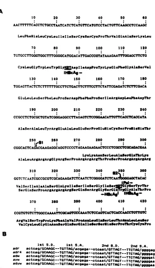 FIG. 5.junctions.ofORFssubtypes. pregenomic Analyses of coding capacities of the spliced RNAs and sequence conservation around the splicing sites