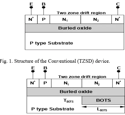 Fig. 1. Structure of the Conventional (TZSD) device. 
